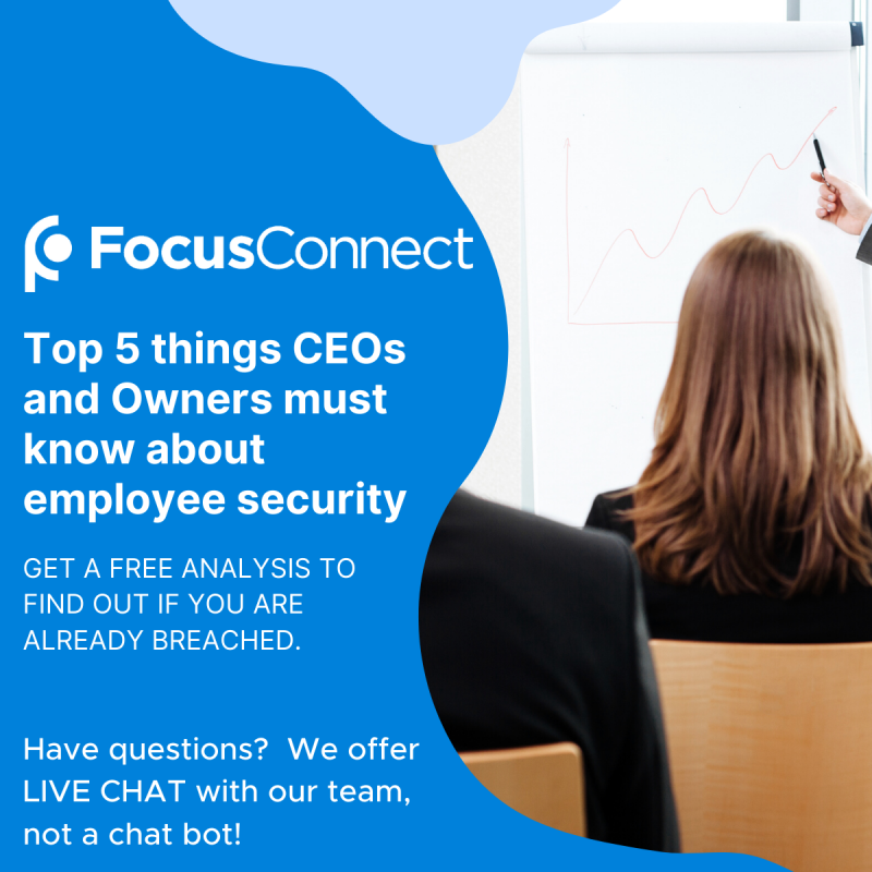 Top 5 Things CEOs Need To Know about Employee Security